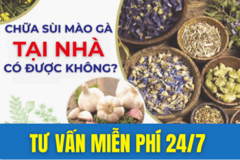 Thuốc trị sùi mào gà, cách trị sùi mào gà hiệu quả?