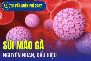 Thông tin tổng quan về bệnh sùi mào gà