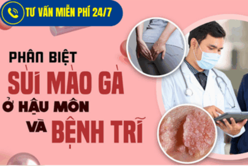 Phân Biệt Dấu Hiệu Sùi Mào Gà Ở Hậu Môn Và Bệnh Trĩ